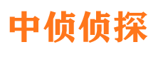 芦淞市婚外情调查